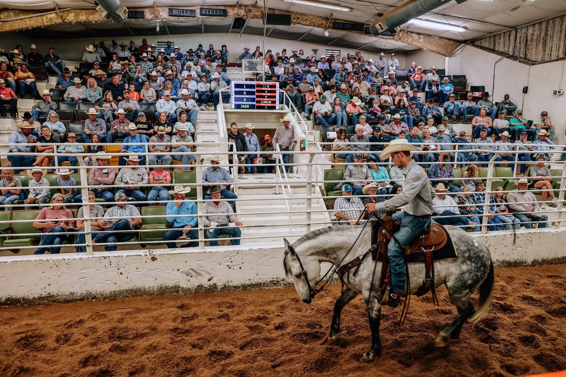 Spring 2025 Woodward Horse Sale in Woodward, Oklahoma on May 18, 2025