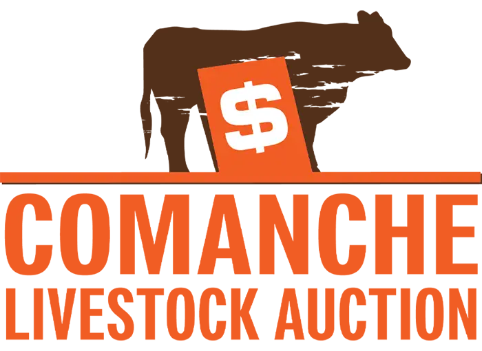 Comanche Livestock Auction in Comanche, Oklahoma
