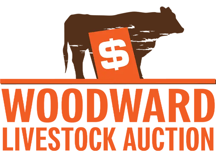 Woodward Livestock Auction in Woodward, Oklahoma