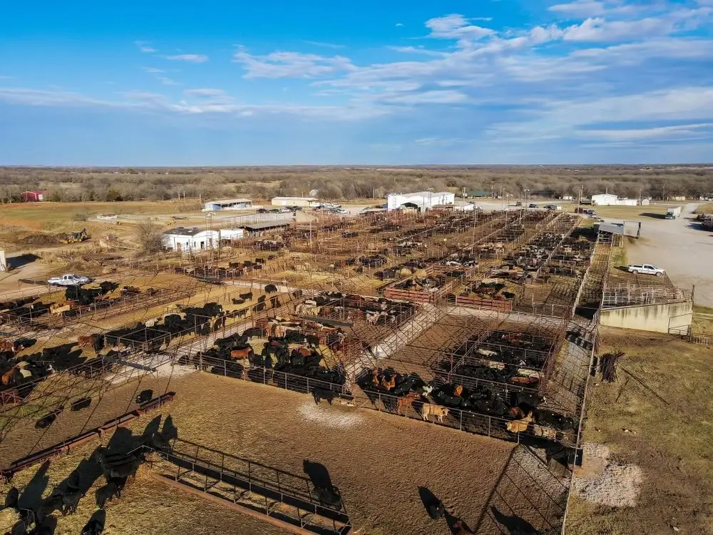 Comanche Livestock Auction location