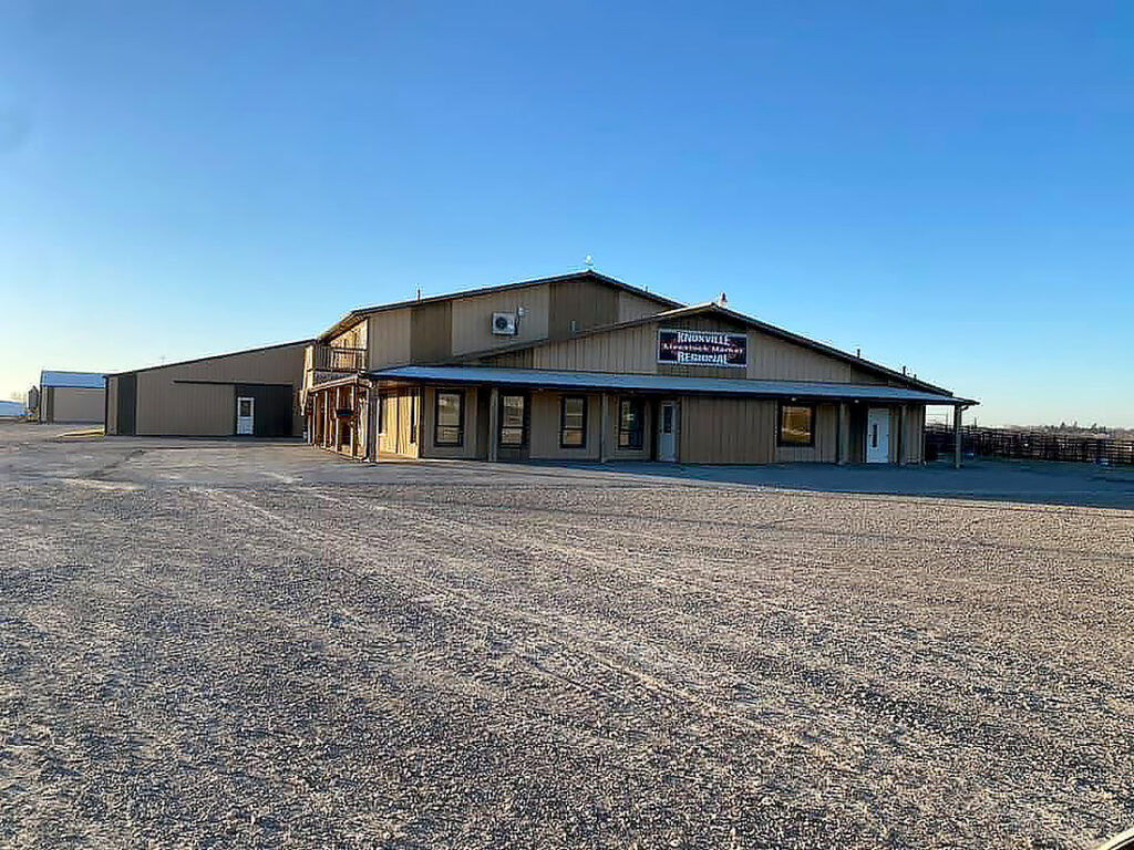 Knoxville Regional Livestock Auction in Knoxville, Iowa
