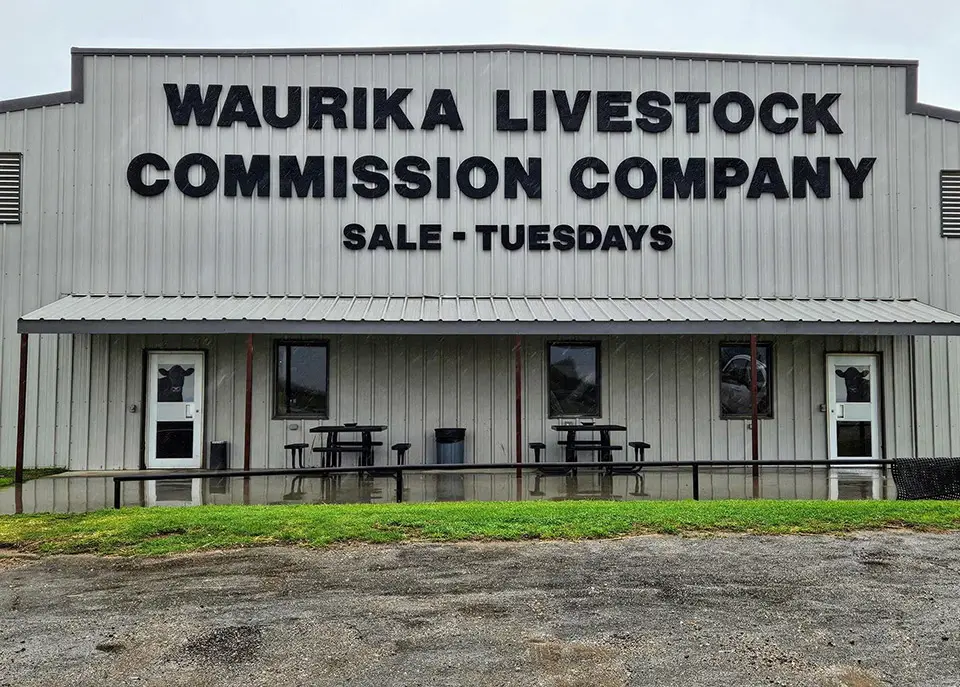 Waurika Livestock Auction in Waurika, Oklahoma