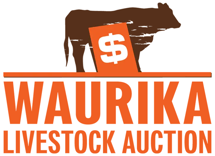 Waurika Livestock Auction in Waurika, Oklahoma